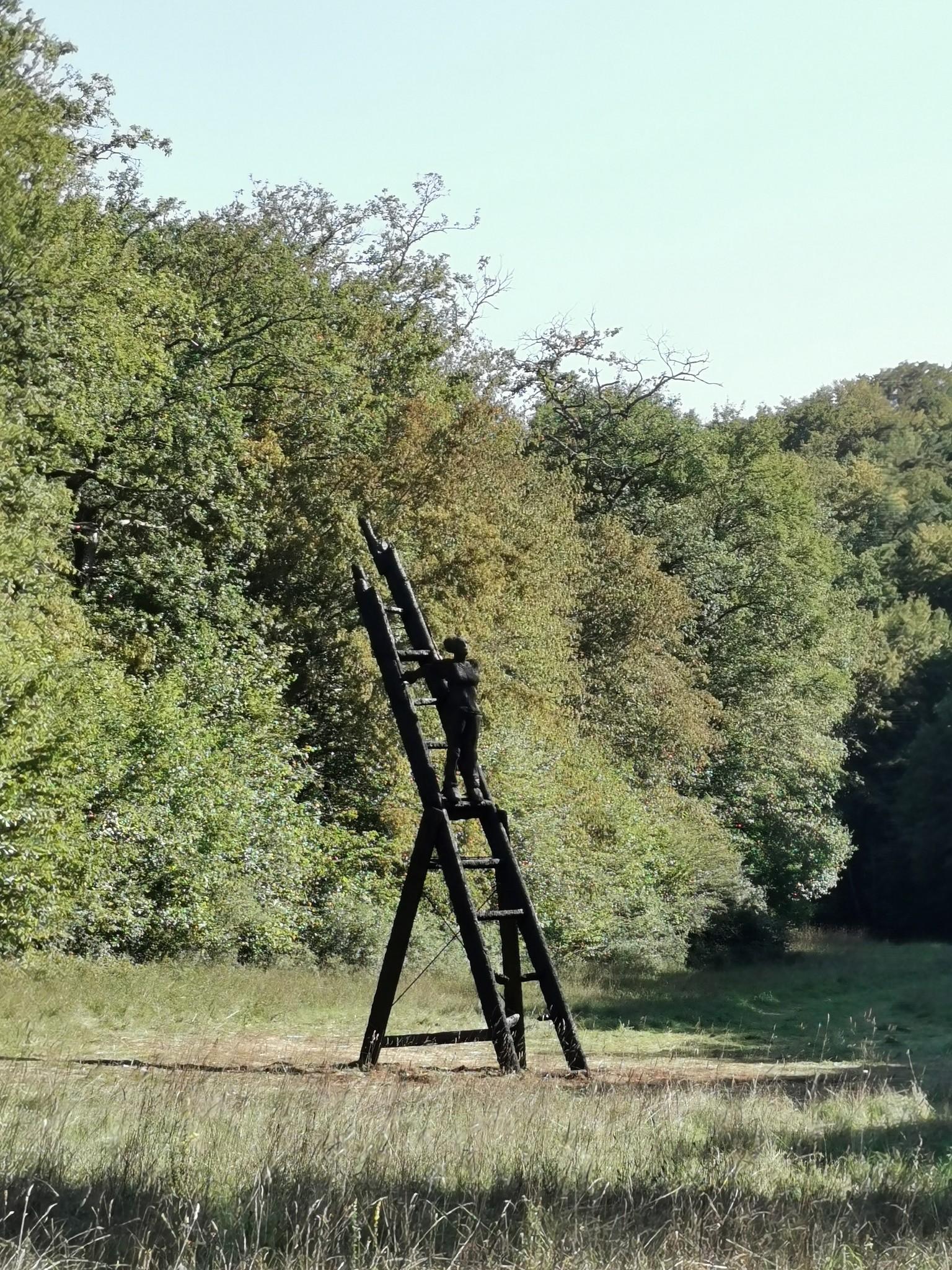 Vernissage De La Belle Balade 2023 | Parc National De Forêts